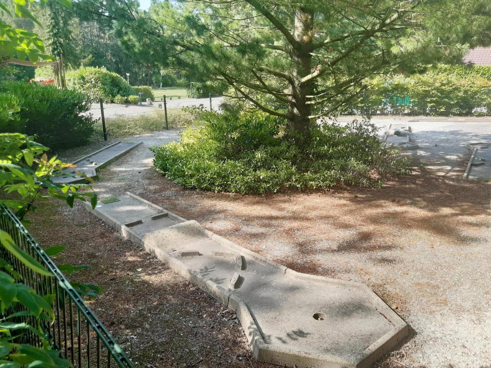 Bungalow - 6 Personen Gelegen In De Nabije Omgeving Van Avonturenpark Hellendoorn En De Prachtige Sallandse Heuvelrug En Eelerberg Ngoại thất bức ảnh